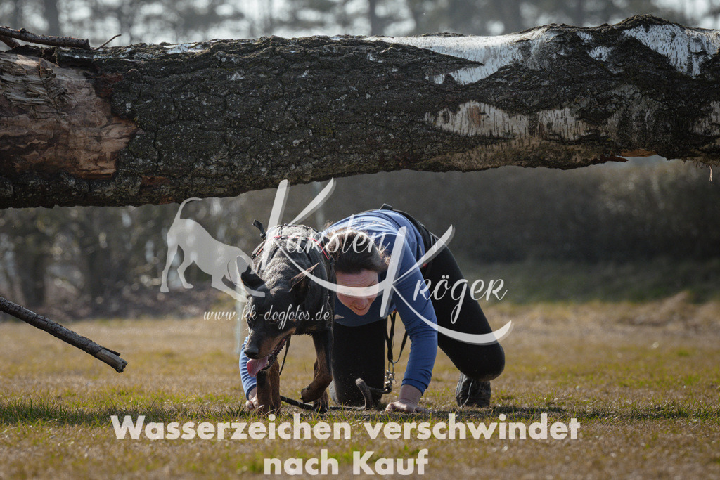 1129_ZZ95299 | kk-dogfotos