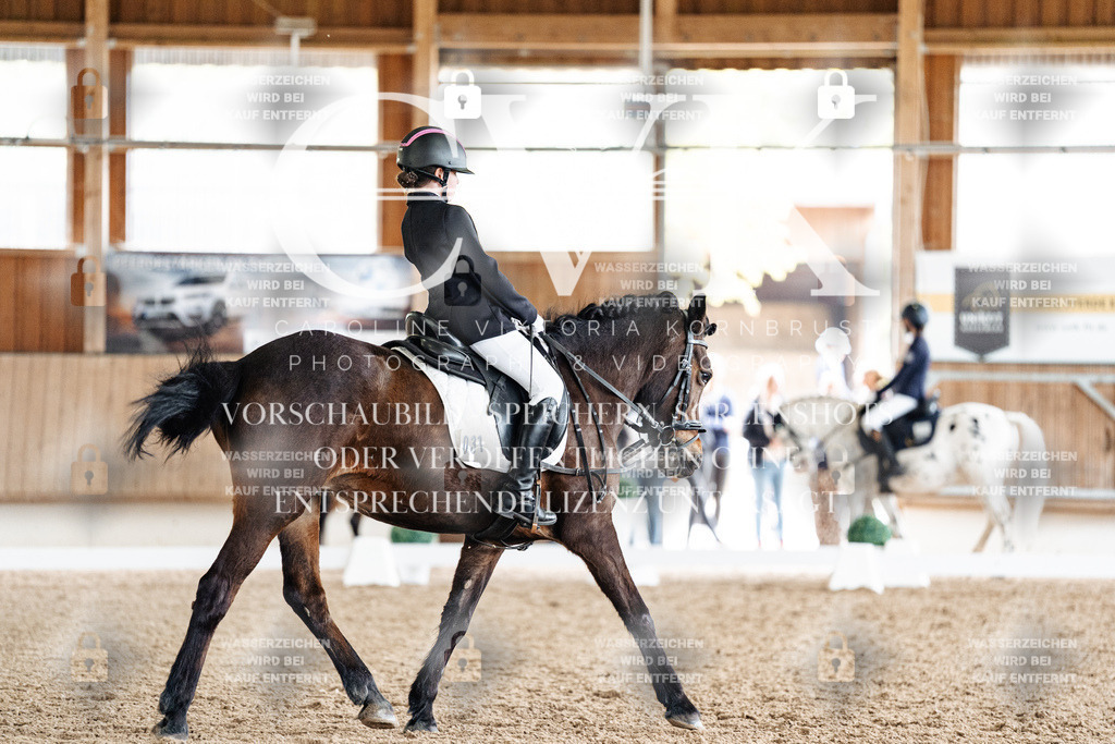 CK901343 | Turnierfotografie Pferdefotografie Trier Rheinland-Pfalz Pferdesport Reitsport Tierfotografie Sportfotografie Pferdevideo Pferdevideografie Equestrianvideography equestrianphotography  - Realisiert mit Pictrs.com
