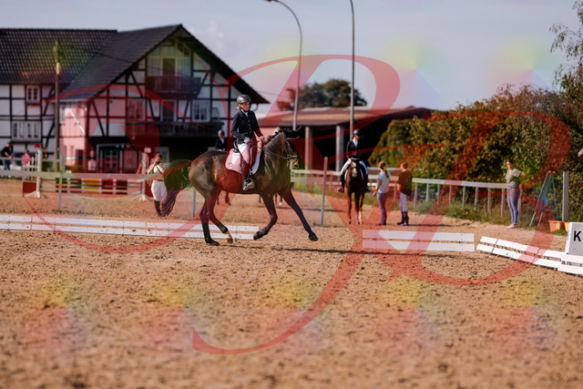 2026_10_03_Siefer-Hof_133844_Z81_97051846 | Professionelle Reitsport-, Turnier- und Eventfotografie von Robert Broda. Galerien mit ausgewählten und bearbeiteten Bildern direkt online ansehen und bestellen.