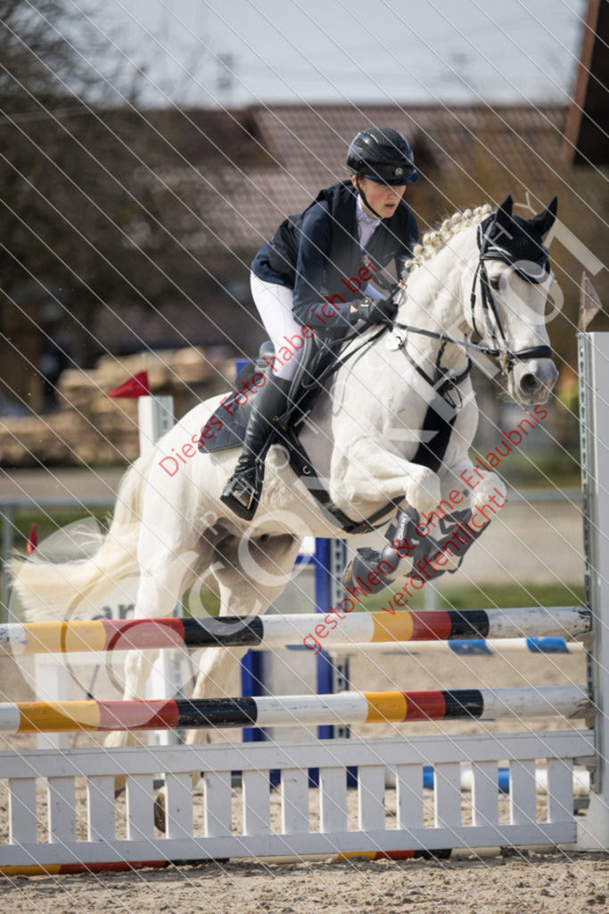 IMG_4120 | Sport-, Event- und Tierfotos in Profiqualität. Einfach auswählen, bestellen und herunterladen. Dein Moment – perfekt festgehalten.