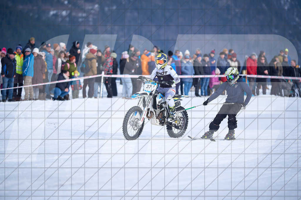 11. Holzknecht Skijöring | Skijöring am 24.01.2026: 11. Holzknecht Skijöring in Gosau am Dachstein, Oberösterreich, ÖsterreichFoto: © 2026 Martin Bihounek | mb-creative.eu