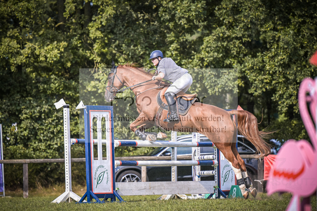 DOS_1395 | Entdecke hochwertige Reitturnierfotos von Foto Oger. Professionell, emotional und authentisch – jetzt Lieblingsmomente im Shop bestellen.Deutschlandweite Turnierfotografie. - Realisiert mit Pictrs.com
