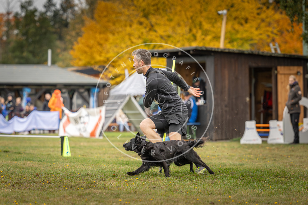 Pfotenfotografie_DV3A5069 | Hundefotografie, Tierfotograf, Pfotenfotografie, Fotoshooting Hund, Hunde Portrait, Hundesport, Hundeportraits, Heideshooting, Hunde, Sportfotograf, Hundefotograf, Turnierhundsport, THS,  - Realisiert mit Pictrs.com