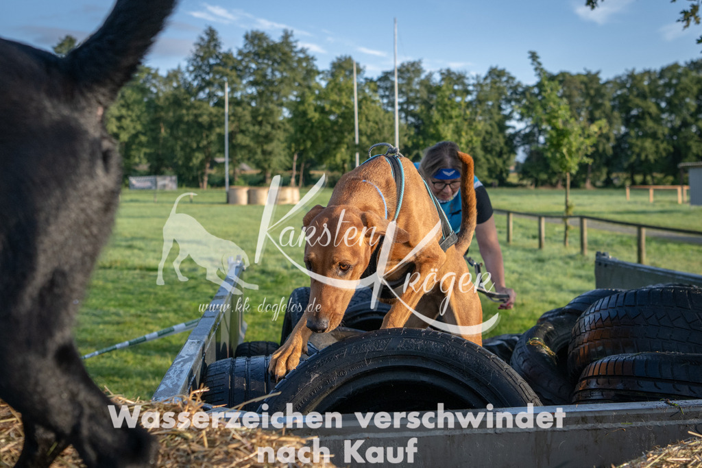 0818_ZZ90974 | kk-dogfotos