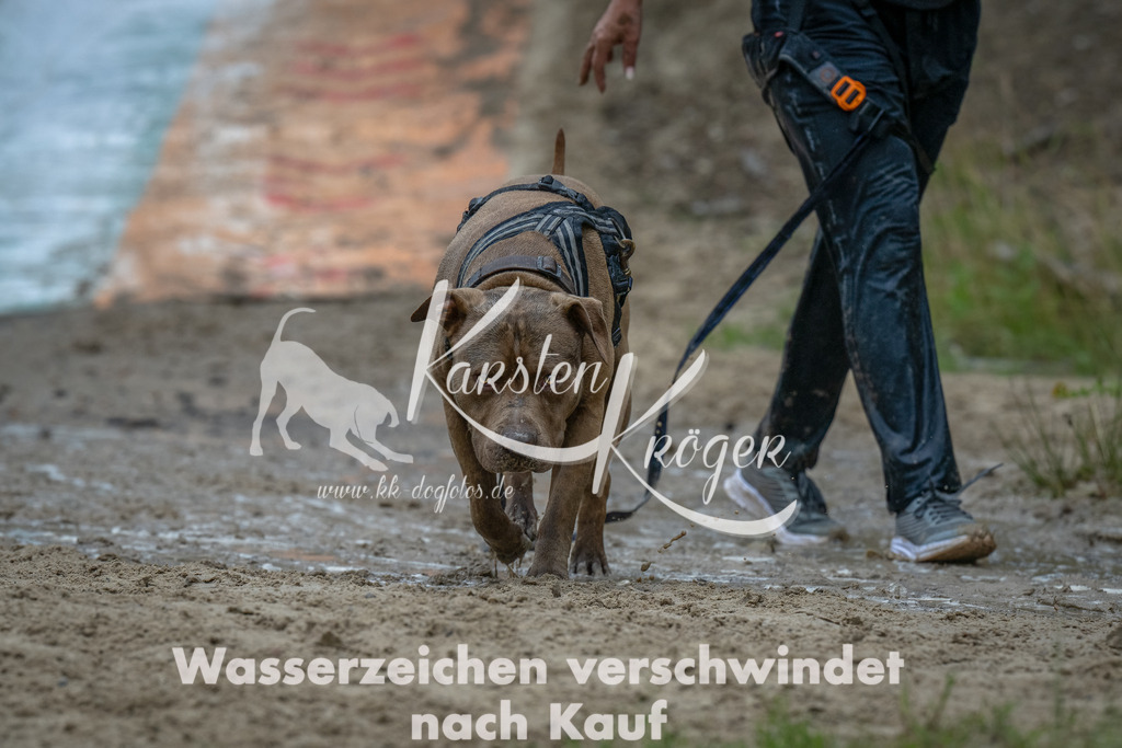 1650_ZZ90706-Bearbeitet | kk-dogfotos