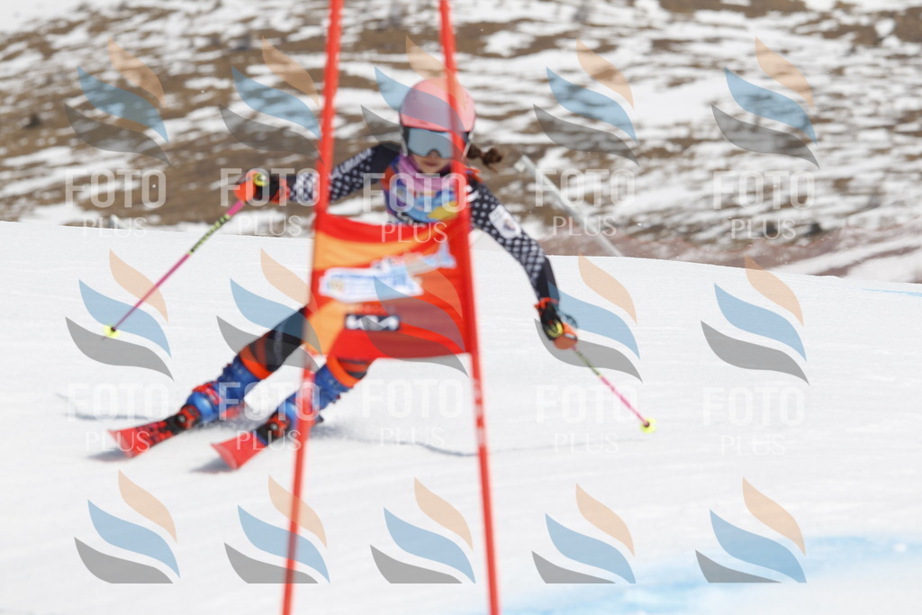 _U3G1683 | holidayphoto