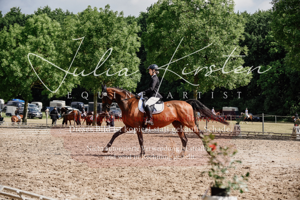DSC_0486 | Pferde- und Turnierfotografie in Westsachsen. Pferdeportraits, Auftragszeichnungen und intuitive Kunst.