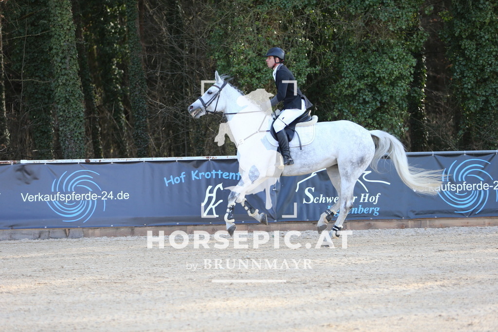 DL2Q4275 | Willkommen bei Brunnmayr - Design & Fotografie – Ihrem Spezialisten für Reitturniere und Pferdeveranstaltungen in Oberösterreich, Salzburg und Bayern! Seit über 17 Jahren sind wir leidenschaftlich dabei.