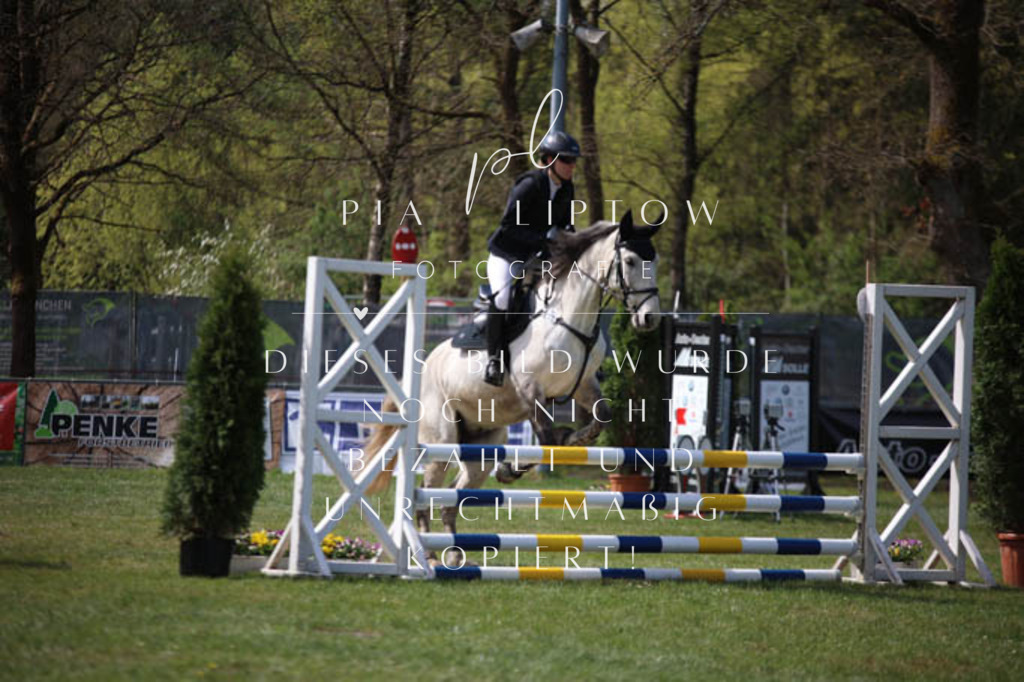 IMGT5444 | pl-fotografie