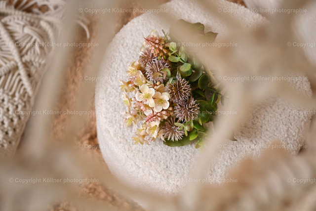 DSC_6416 | Homepage von Tobias Köllner