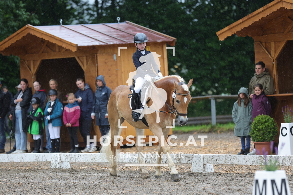 0P6A8620 | Willkommen bei Brunnmayr - Design & Fotografie – Ihrem Spezialisten für Reitturniere und Pferdeveranstaltungen in Oberösterreich, Salzburg und Bayern! Seit über 17 Jahren sind wir leidenschaftlich dabei.