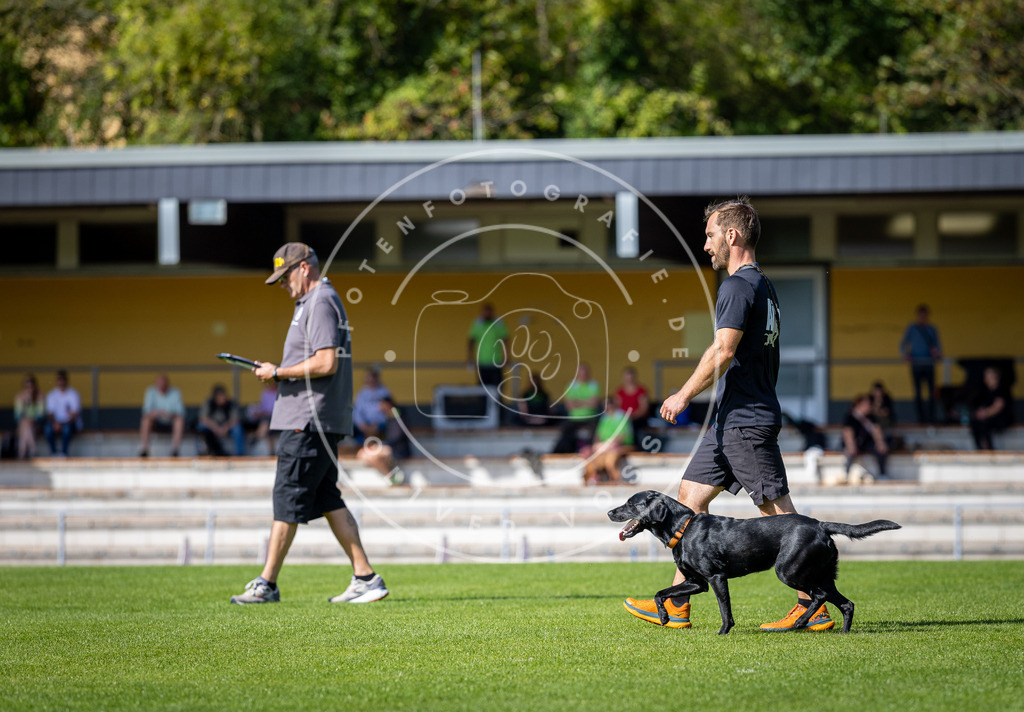 Pfotenfotografie_DV3A4976 | Hundefotografie, Tierfotograf, Pfotenfotografie, Fotoshooting Hund, Hunde Portrait, Hundesport, Hundeportraits, Heideshooting, Hunde, Sportfotograf, Hundefotograf, Turnierhundsport, THS,  - Realisiert mit Pictrs.com