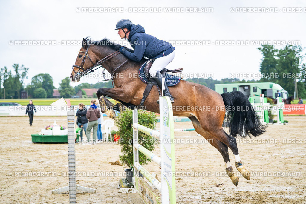 DSC03811 | Pferdegrafie