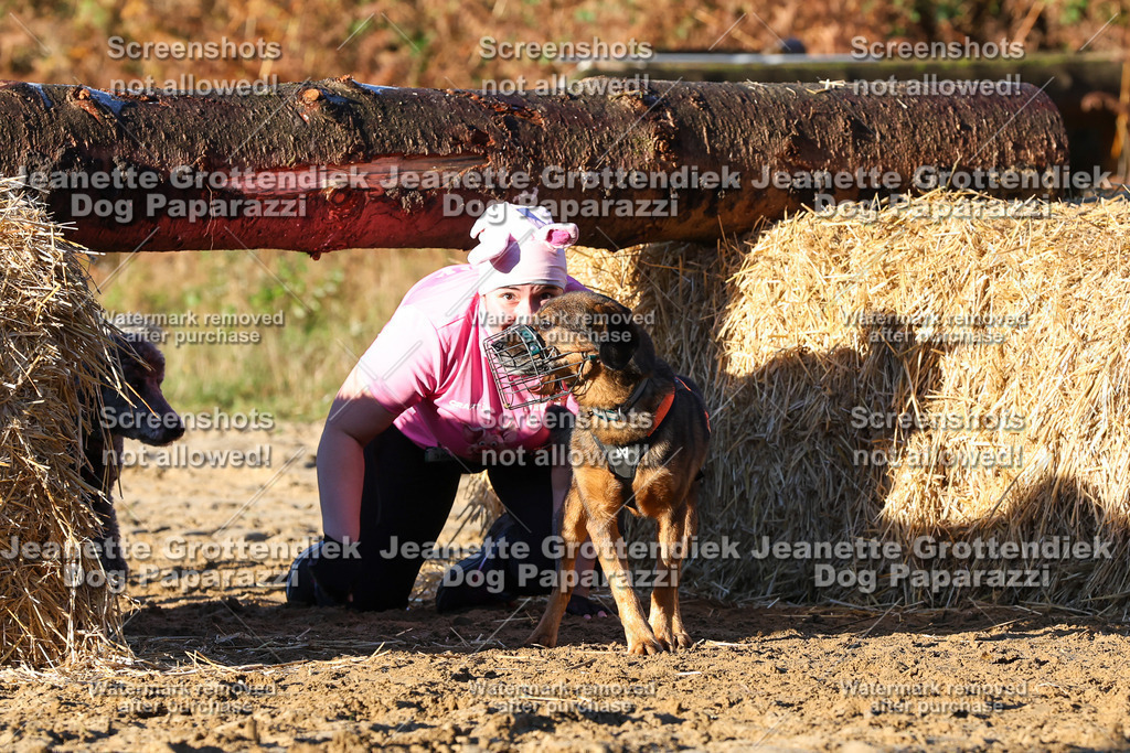 Dog Paparazzi - Strongdog 10-25-1055 | Dog Paparazzi Jeanette Grottendiek Fotografie & Videografie - Realisiert mit Pictrs.com
