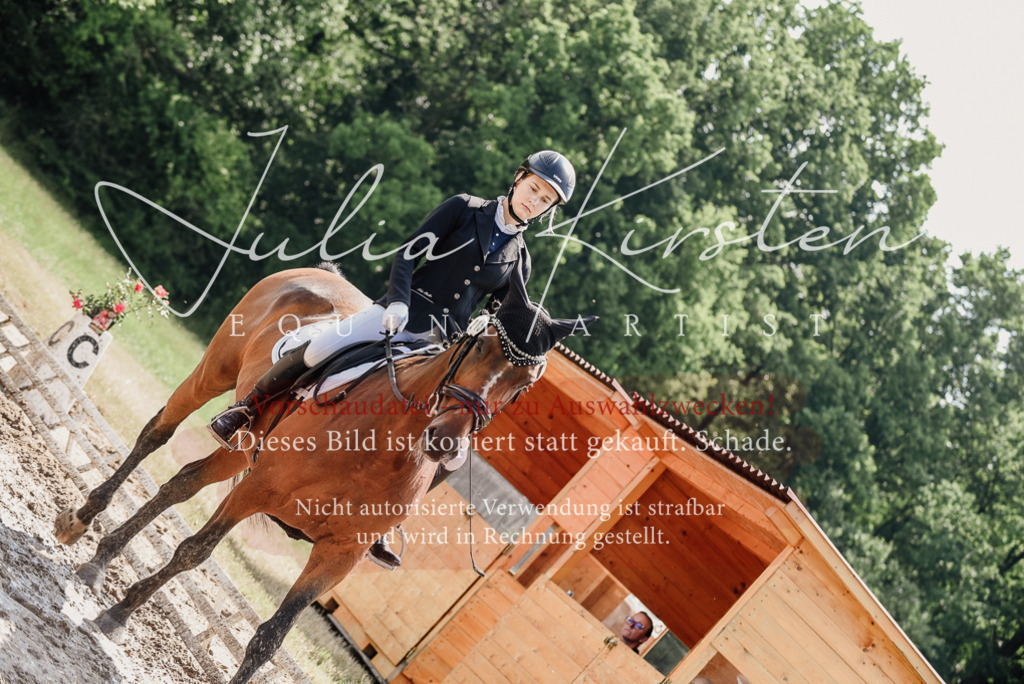 DSC_0462 | Pferde- und Turnierfotografie in Westsachsen. Pferdeportraits, Auftragszeichnungen und intuitive Kunst.