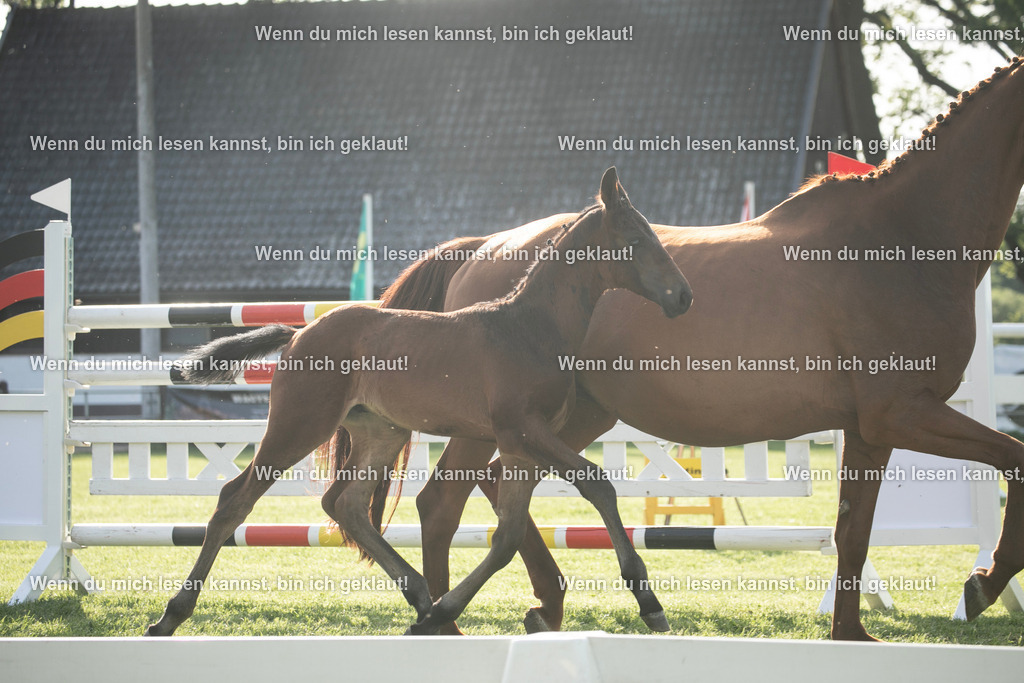 598A7273 | photographylinaismer - Realisiert mit Pictrs.com