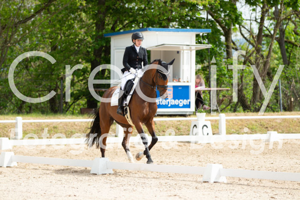 IMG_2472 | Creatify Fotografie