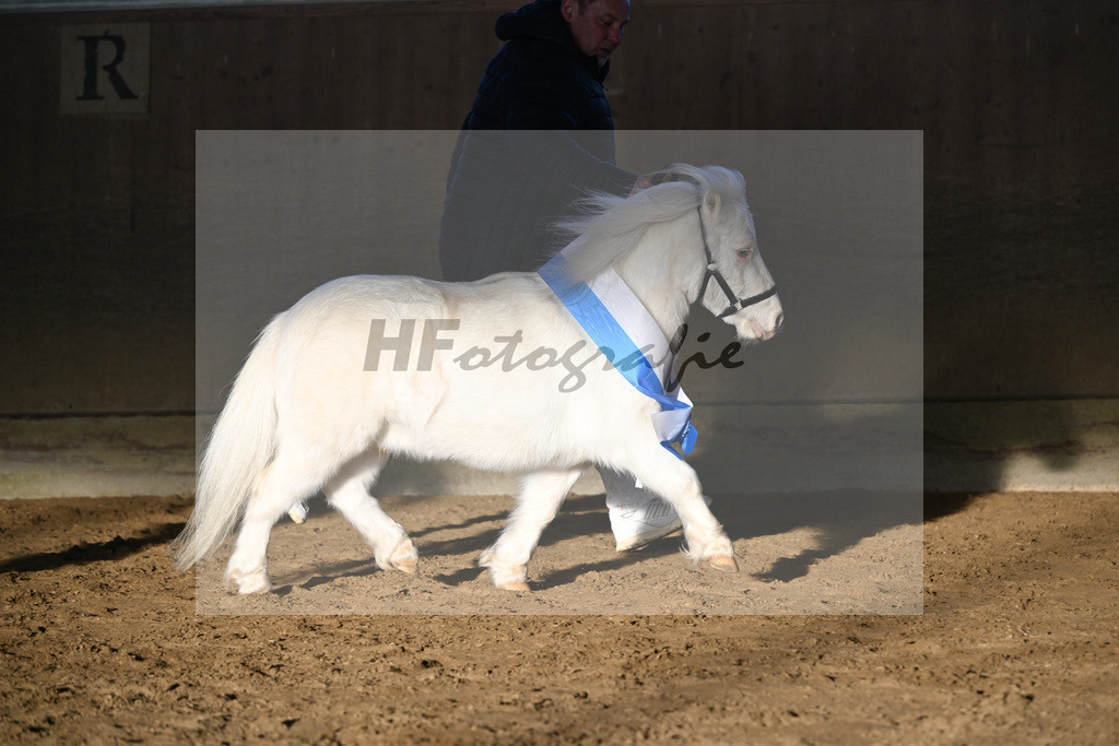 Kat-Nr. 14 Elmhorst Irish Cream v. Elmhorst Irish Coffee_Elmer_49250856 | hf-fotografie - Realisiert mit Pictrs.com