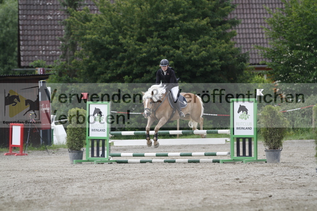 _MG_6310 | equestrian-live-com