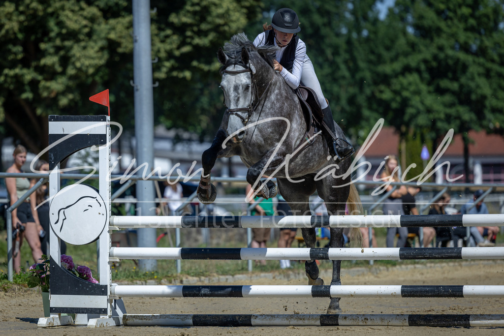 20260704-_3LI7564 | Tierfotografie Pferde, Hunde, Katzen, Haustiere.
Turnierfotografie Reitturniere, Reiten, Springreiten, Dressur in Hanau, dem Main-Kinzig-Kreis und dem Rhein-Main- Gebiet um Frankfurt