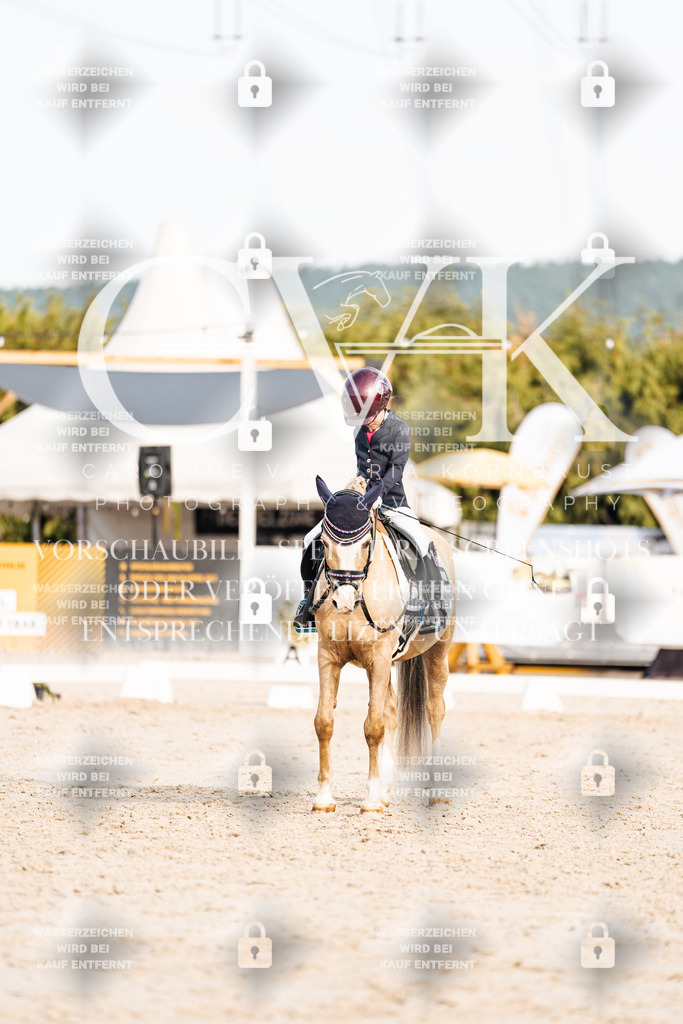 CK904741 | Turnierfotografie Pferdefotografie Trier Rheinland-Pfalz Pferdesport Reitsport Tierfotografie Sportfotografie Pferdevideo Pferdevideografie Equestrianvideography equestrianphotography  - Realisiert mit Pictrs.com