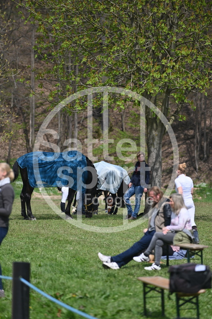 DSC_2019 | sattelsport - Realisiert mit Pictrs.com