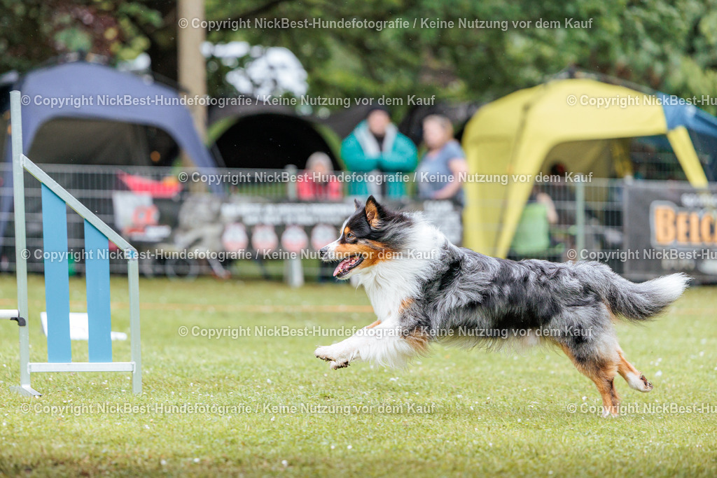 RO-Blumenthal-2026-Nickbest-Hundefotografie-4396 | Dein Hund! Dein Moment! Deine Erinnerungen! Hundefotografie in Bremen Blumenthal. Ich fange die besonderen Momente deines Vierbeiners ein – ob Indoor mit Blitzanlage oder in der freien Natur. Sicher dir dein Moment und dein Termin für eure Erinnerungen.