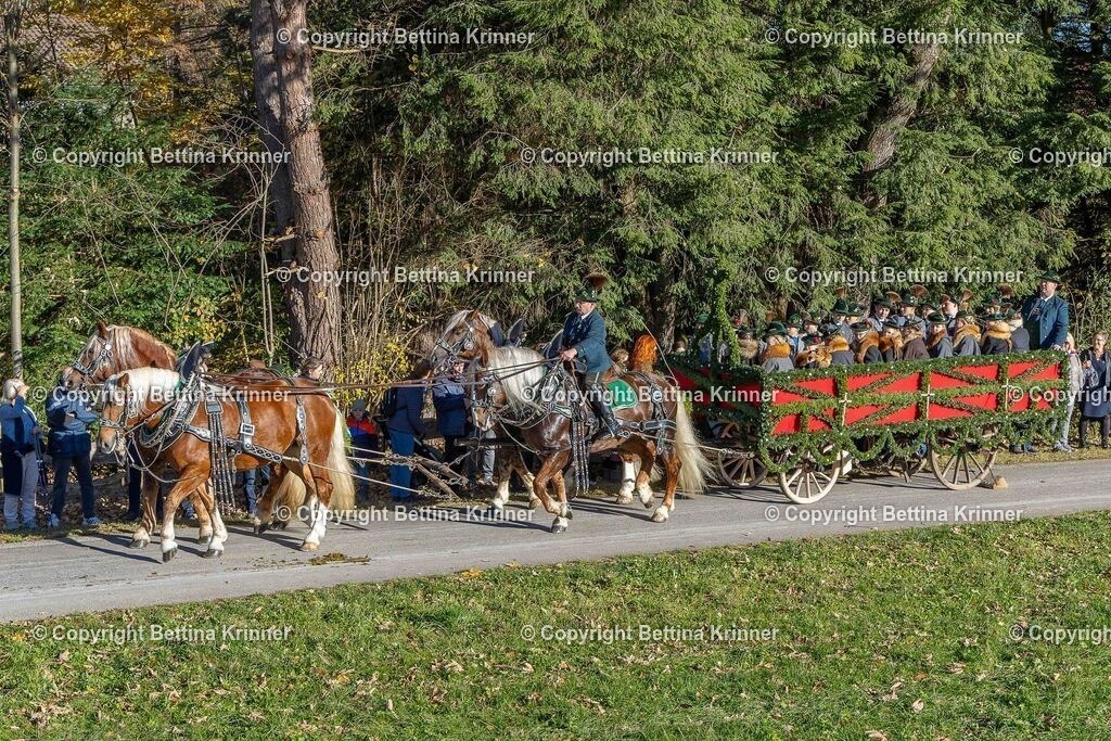 LBT25-148 | foto-bettina-krinner - Realisiert mit Pictrs.com