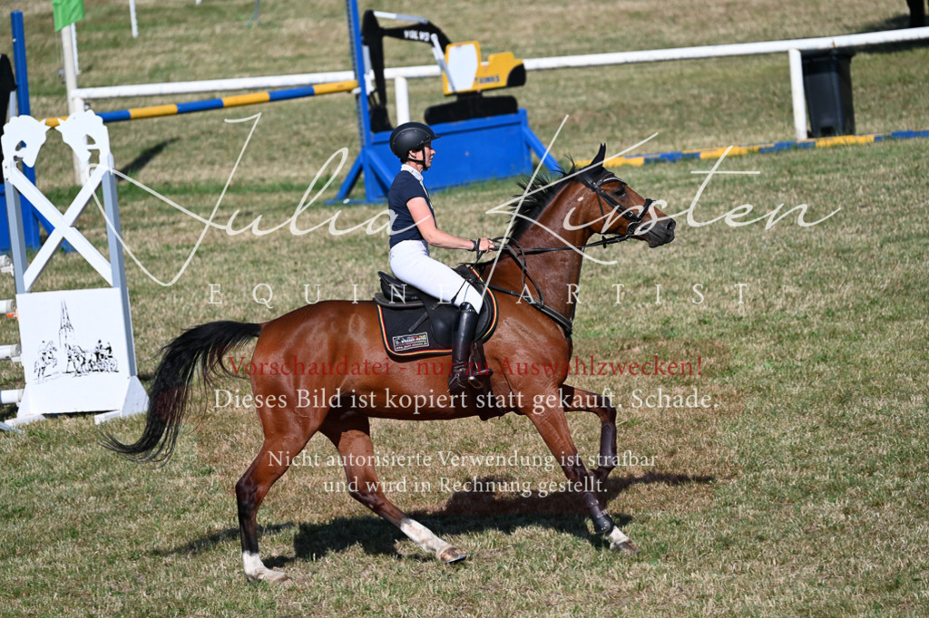DSC_2206 | Pferde- und Turnierfotografie in Westsachsen. Pferdeportraits, Auftragszeichnungen und intuitive Kunst.