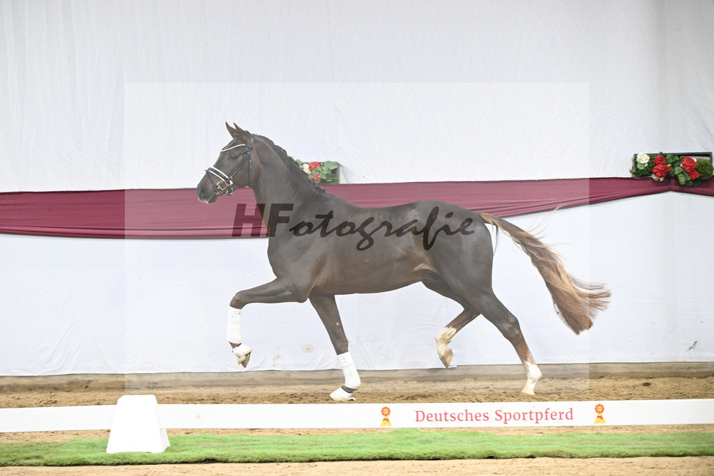 Kat-Nr. 126 Va Bene x Fuerst Jazz_Johannes Gaab_47254193 | hf-fotografie - Realisiert mit Pictrs.com