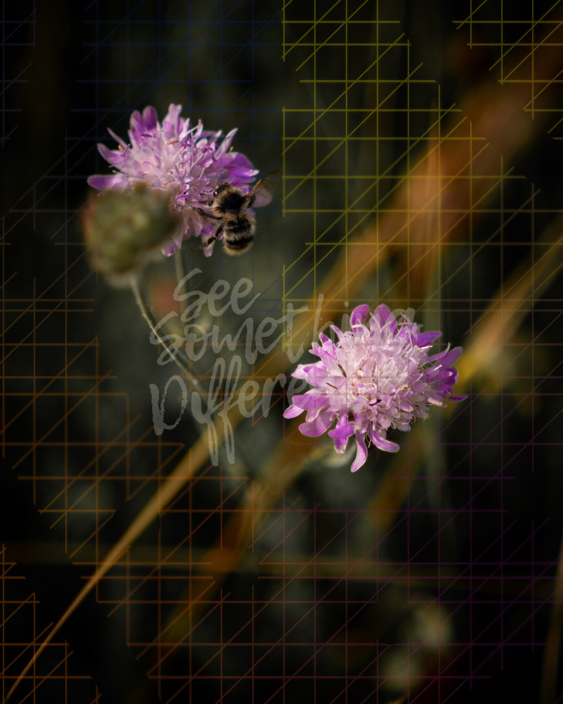 XE5G0029 | See something different - Realisiert mit Pictrs.com