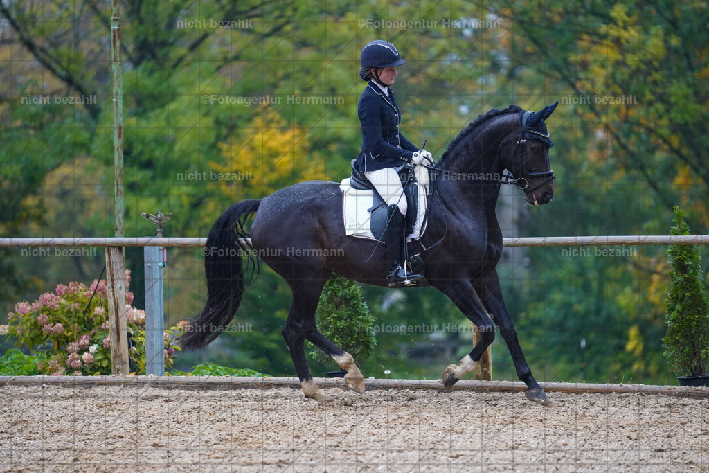 20221008-FAH02145 | Diessen am Ammersee, 2022, Dressur- und Springturnier, Reitsportbilder, Turnierfotografen Bayern, Pferdefotografen, Fotoagentur Herrmann, Turnierbilder
