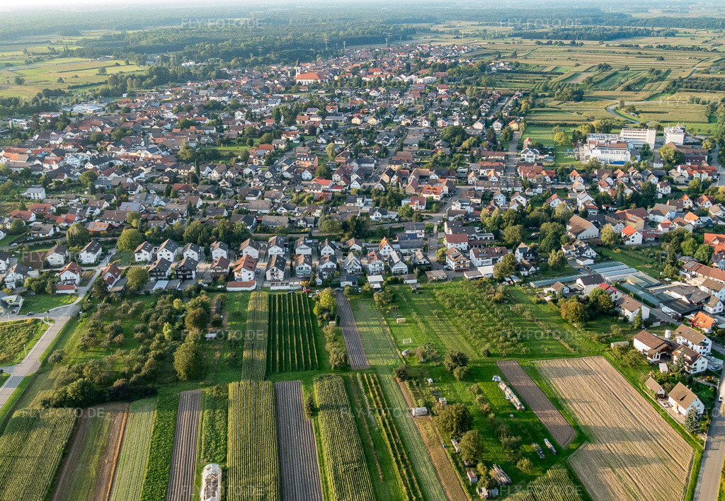 Luftbild: Runzweg von Süden im Ortsteil Urloffen in Appenweier im Bundesland Baden-Württemberg in Deutschland. Foto: P1010248.jpg vom 15.09.2014 durch Werner Riehm/FLY-FOTO.de