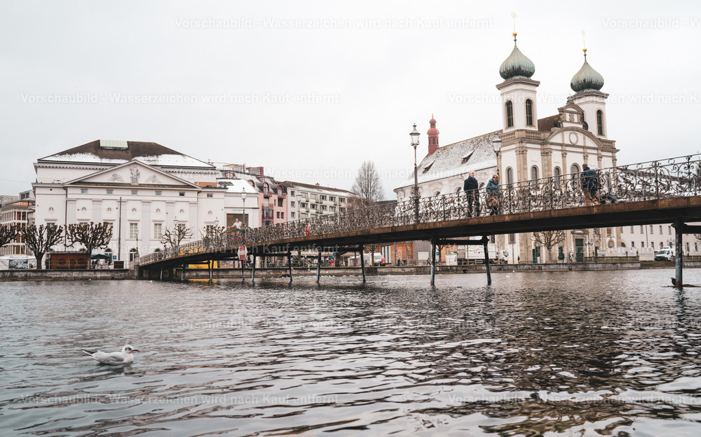 DSC07232 | marcuslinek