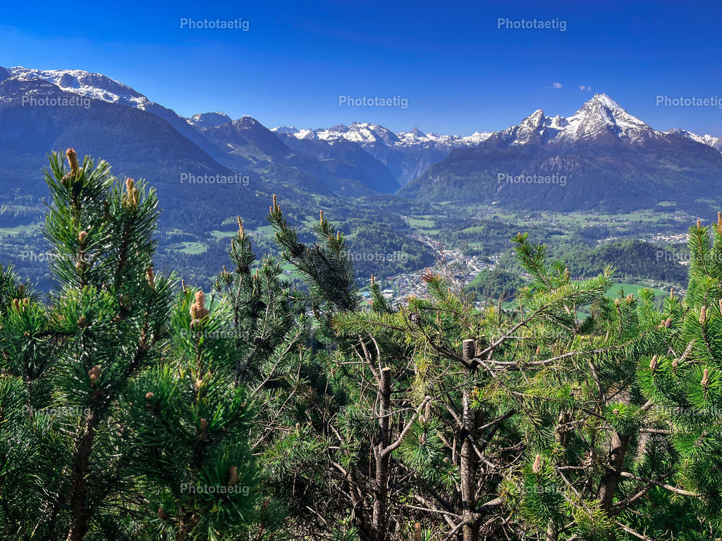 IMG_2112 | phototaetig