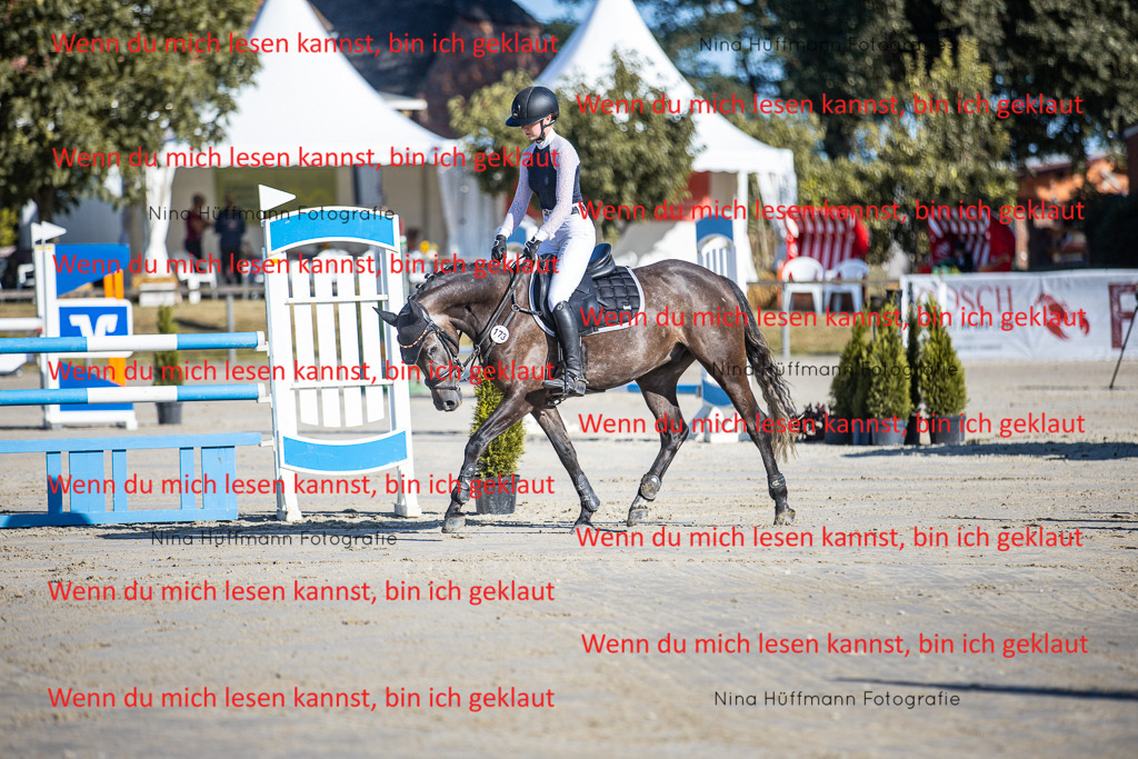 BK1A5959 | Turnierbilder Turnierfotos Nina Hüffmann Turnierfotografie Pferdefotografie Tierzeichnung Haustierzeichnung Pferdezeichnung Hundezeichnung Videograf  - Realisiert mit Pictrs.com