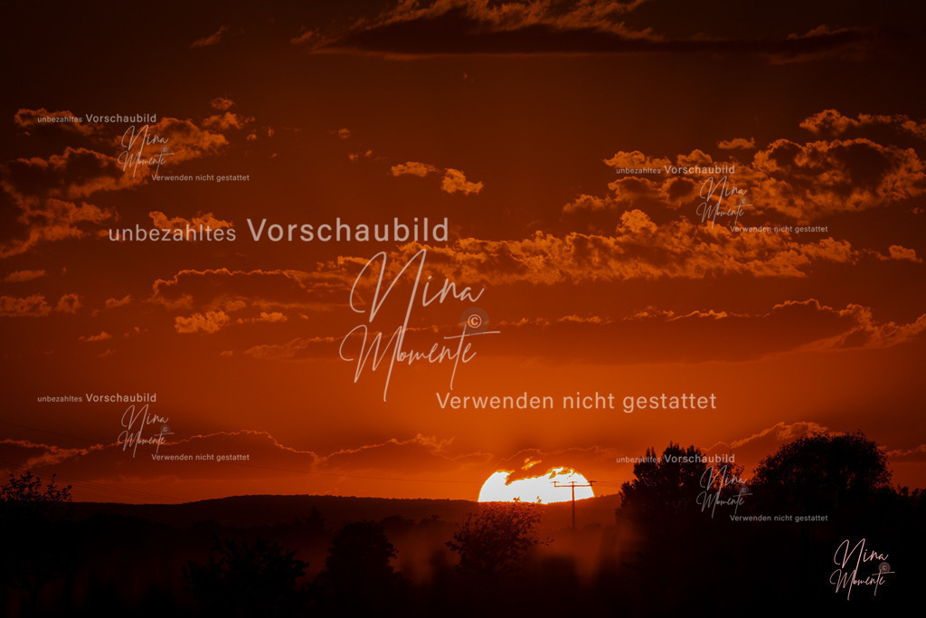 _16A3512-1 | Einzigartige Fotos von Hunden & Menschen –Actionfotos, Portraits, Vereinsaufnahmen & Paarshootings – authentisch, lebendig & mit Herz.