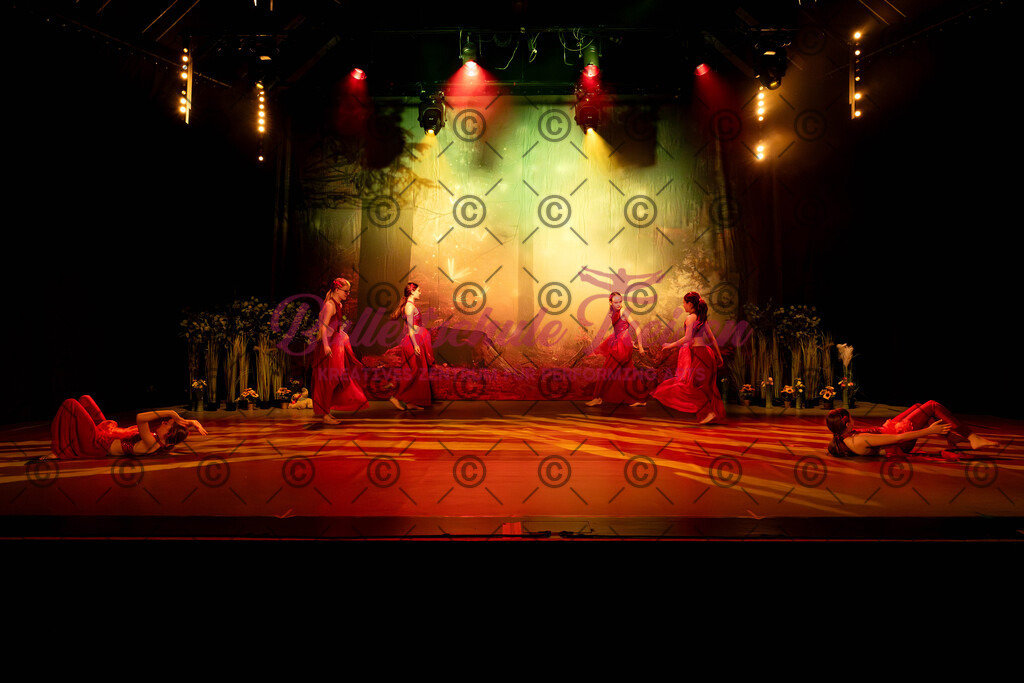 Ballettaufführung-192 | Bildershop Lem'n Entertainment - Realisiert mit Pictrs.com