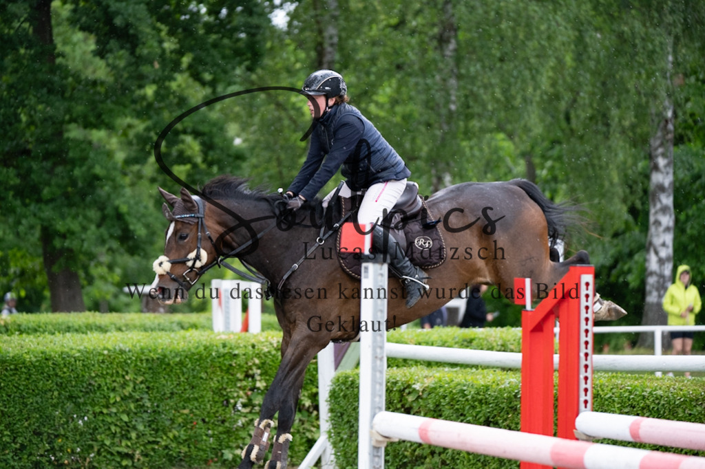 A7V05084 | Pferdefotograf