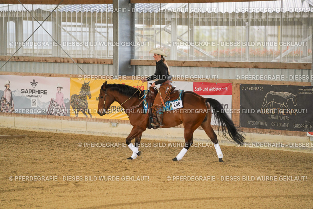 DSC04466 | Pferdegrafie