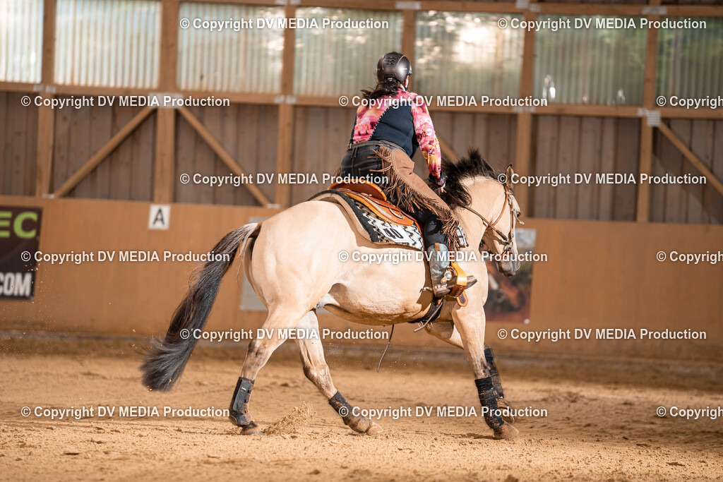 Losheim Tag 1-737 | dv-media-shop - Realisiert mit Pictrs.com