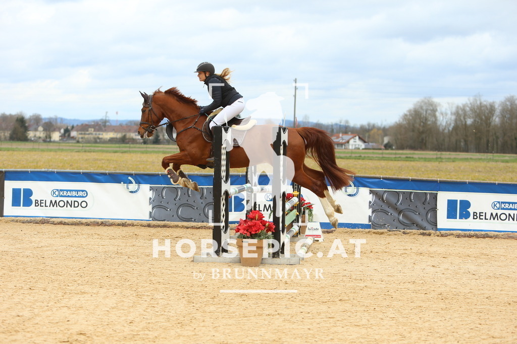 DL2Q2110 | Willkommen bei Brunnmayr - Design & Fotografie – Ihrem Spezialisten für Reitturniere und Pferdeveranstaltungen in Oberösterreich, Salzburg und Bayern! Seit über 17 Jahren sind wir leidenschaftlich dabei.