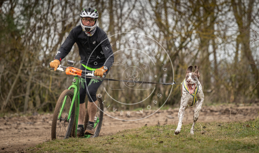 Pfotenfotografie_DV3A9701 | Hundefotografie, Tierfotograf, Pfotenfotografie, Fotoshooting Hund, Hunde Portrait, Hundesport, Hundeportraits, Heideshooting, Hunde, Sportfotograf, Hundefotograf, Turnierhundsport, THS,  - Realisiert mit Pictrs.com