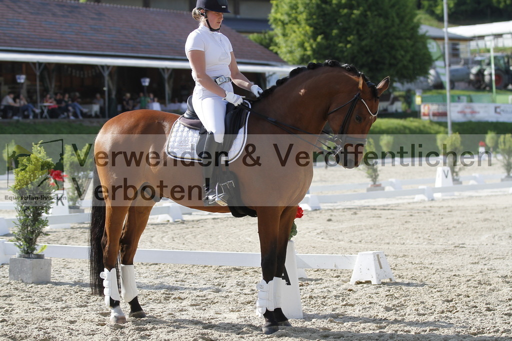 _MG_5976 | equestrian-live-com