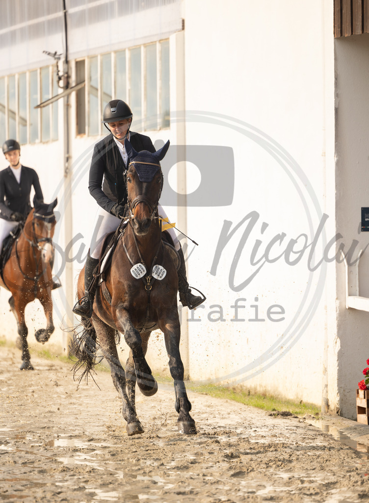 994A9913 | sabrinanicolaifotografie - Realisiert mit Pictrs.com