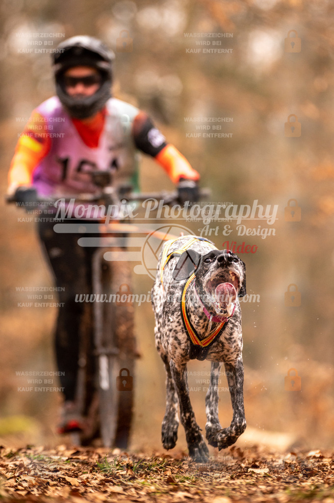 AKM_ST_2023_SAM_Scooter-18 | PayLife