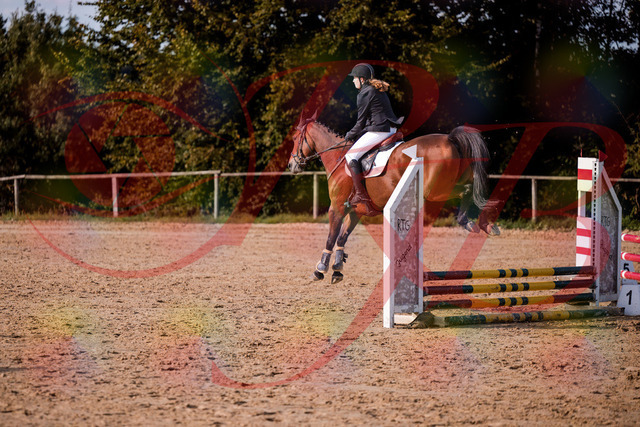 2026_10_03_Siefer-Hof_161013_Z81_89543020 | Professionelle Reitsport-, Turnier- und Eventfotografie von Robert Broda. Galerien mit ausgewählten und bearbeiteten Bildern direkt online ansehen und bestellen.