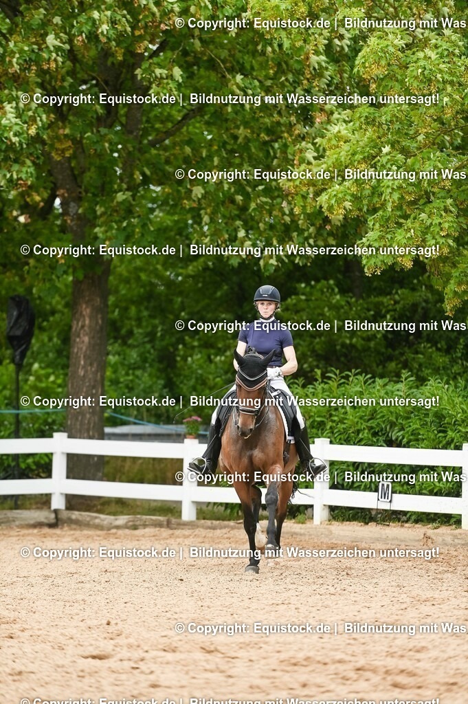 20230716_01_Dressurprüfung Kl.M_0431 | equistock