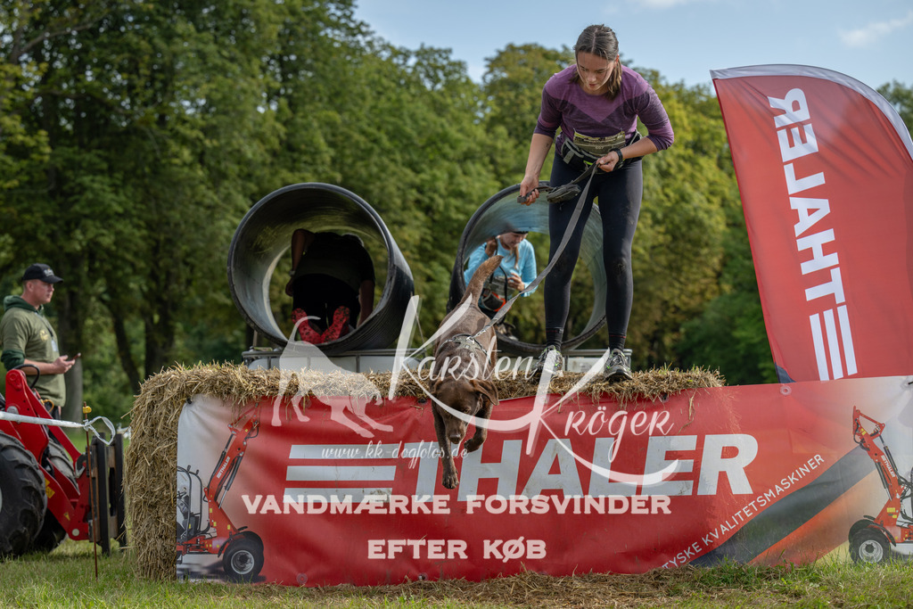 0955_ZZ91594 | kk-dogfotos