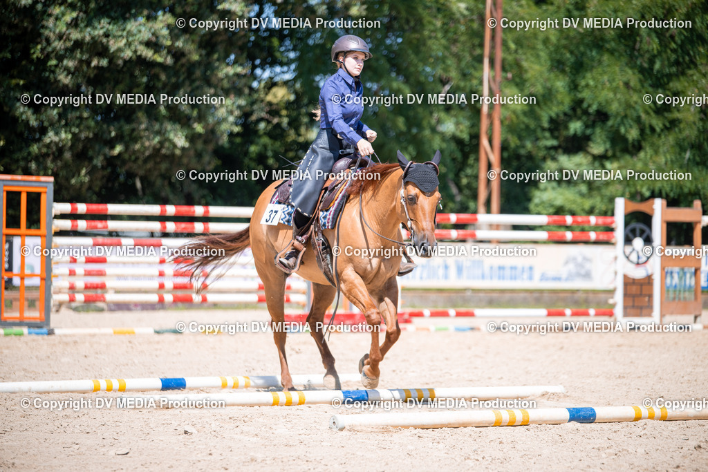 ZS1_1301 | dv-media-shop - Realisiert mit Pictrs.com